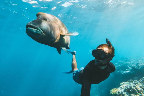 Great Barrier Reef Day Cruise To Reefworld - Hotel Gold Coast 3