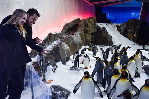 Penguin Passport At SEA LIFE Melbourne Aquarium - Hotel Gold Coast 0