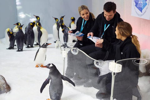 Penguin Passport At SEA LIFE Melbourne Aquarium - Hotel Gold Coast 5