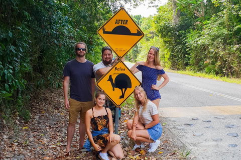 Cape Tribulation, Daintree Rainforest And Wildlife Tour - Hotel Gold Coast 0