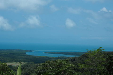 Cape Tribulation, Daintree Rainforest And Wildlife Tour - Hotel Gold Coast 1