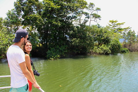 Cape Tribulation, Daintree Rainforest And Wildlife Tour - Hotel Gold Coast 2