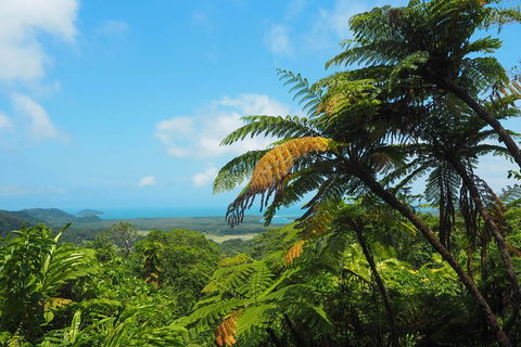 Cape Tribulation, Daintree Rainforest And Wildlife Tour - Hotel Gold Coast 3