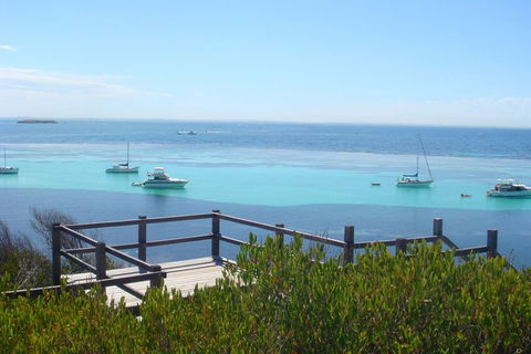 Rottnest Bayseeker Bus Tour From Hillarys Boat Harbour - Hotel Gold Coast 3