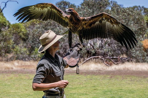 One Day Kangaroo Island Sip & See Tour With Return Ferry Transfers From Adelaide - Hotel Gold Coast 0