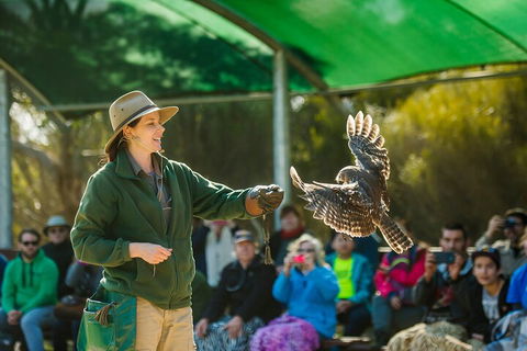 One Day Kangaroo Island Sip & See Tour With Return Ferry Transfers From Adelaide - Hotel Gold Coast 3