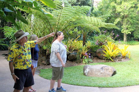 Cairns Shore Excursion: Cairns City Sights & Surrounds Tour - Hotel Gold Coast 4
