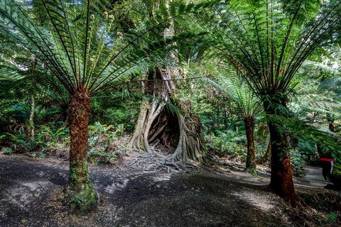 Adelaide To Melbourne 3-Day Trip Through Grampians And Great Ocean Road - Hotel Gold Coast 0