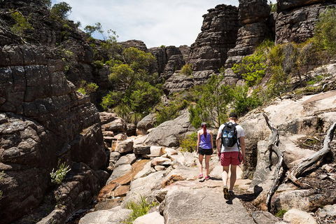 Grampians National Park With Kangaroos And MacKenzie Falls From Melbourne - Hotel Gold Coast 3