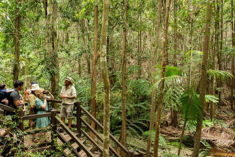 Fraser Explorer K'gari 2-Day Tour - Hotel Gold Coast 5