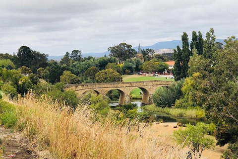 Day Tour In Mt. Field, Mt. Wellington, Bonorong Wildlife Sanctuary And Richmond - Hotel Gold Coast 3