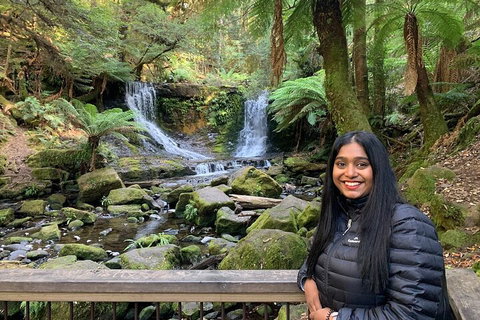 Day Tour In Mt. Field, Mt. Wellington, Bonorong Wildlife Sanctuary And Richmond - Hotel Gold Coast 5