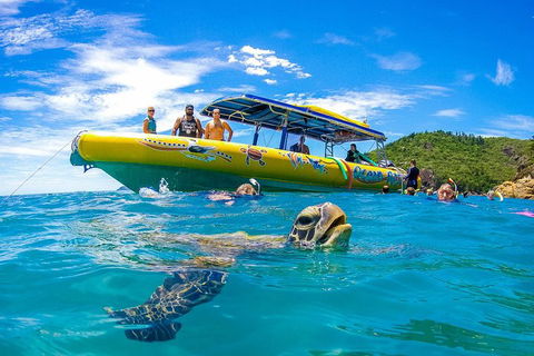 Great Barrier Reef Scenic Flight And Ocean Rafting Whitehaven Beach Day Trip - Hotel Gold Coast 1