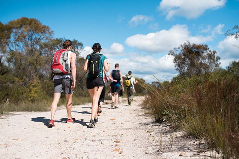 Pittwater Discovery Kayaking Tour - Hotel Gold Coast 0