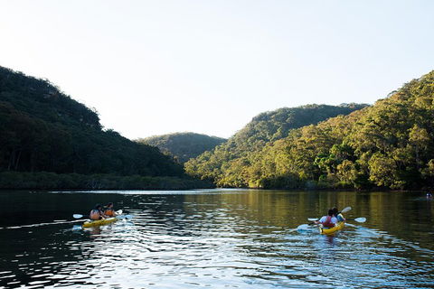 Pittwater Discovery Kayaking Tour - Hotel Gold Coast 1