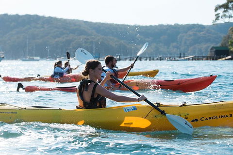 Pittwater Discovery Kayaking Tour - Hotel Gold Coast 2