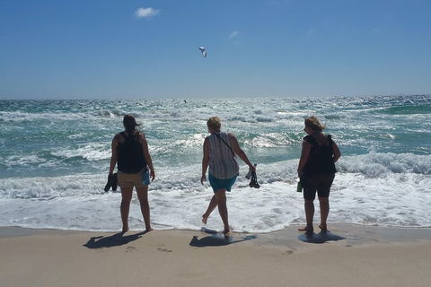 Very Best Of Perth Tour - Wildlife Park & City Highlights Tour - Hotel Gold Coast 5