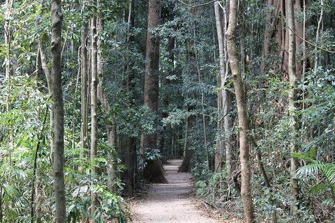 Eumundi Markets And Sunshine Coast Day Trip From Brisbane - Hotel Gold Coast 4