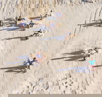 Unlimited Sandboarding - Hotel Gold Coast