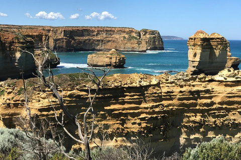 Great Ocean Road Reverse Itinerary Tour - Hotel Gold Coast 1