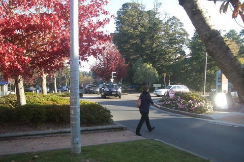 PRIVATE All-Day Blue Mountains Tour With Professional Guide For Up To 4 People - Hotel Gold Coast 1