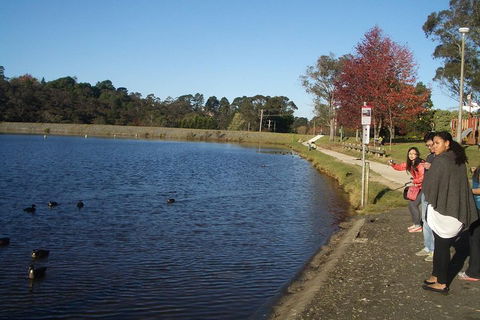 PRIVATE All-Day Blue Mountains Tour With Professional Guide For Up To 4 People - Hotel Gold Coast 2