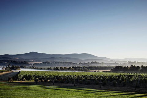 Chauffeur Driven Yarra Valley Group Wine Tour - Up To 7 - Hotel Gold Coast 2