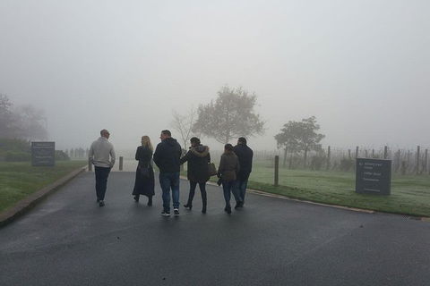 Chauffeur Driven Yarra Valley Group Wine Tour - Up To 7 - Hotel Gold Coast 4