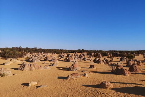 Pinnacles Day Trip From Perth Including Yanchep National Park - Hotel Gold Coast 3