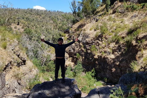 Grampians & Halls Gap - Hotel Gold Coast 1