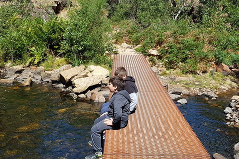 Grampians & Halls Gap - Hotel Gold Coast 2