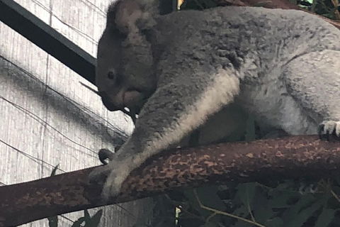 Perth Hills - Wildlife, Art & Gastronomy - Hotel Gold Coast 3