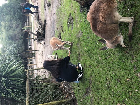 Perth Hills - Wildlife, Art & Gastronomy - Hotel Gold Coast 4