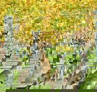 Margaret River Indulge and Discover Day Tour - Hotel Gold Coast