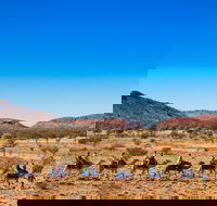 Alice Springs Camel Tour - Hotel Gold Coast