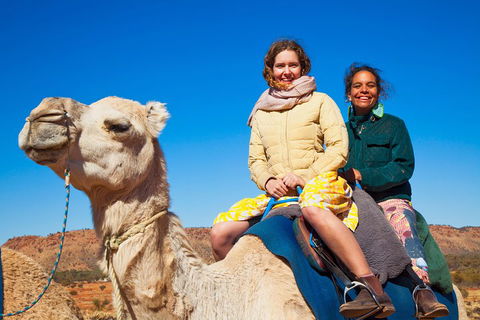 Alice Springs Camel Tour - Hotel Gold Coast 3