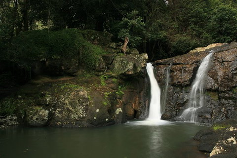 Hinterland Magic & Glow-worm Experience - Hotel Gold Coast 2