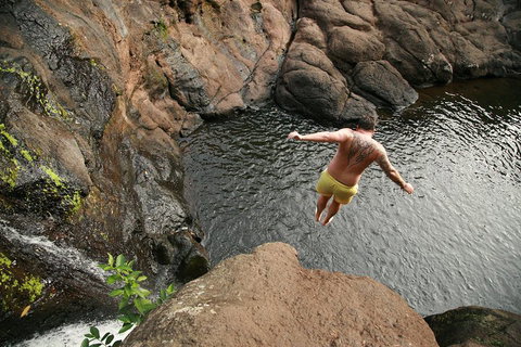 Hinterland Magic & Glow-worm Experience - Hotel Gold Coast 3