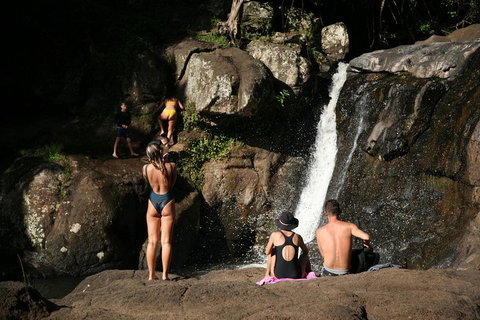 Hinterland Magic & Glow-worm Experience - Hotel Gold Coast 5