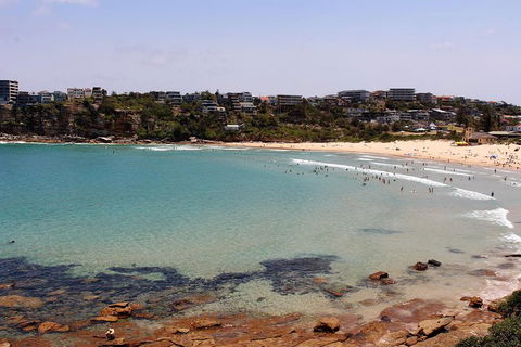 Half Day Manly Beach And More - Hotel Gold Coast 2