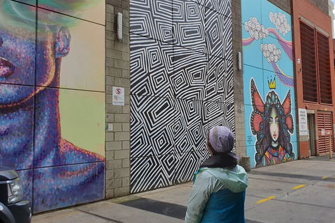 Jimmy C Street Art Walking Tour - Hotel Gold Coast 2