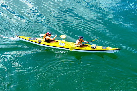Self-Guided Sydney Middle Harbour Kayak 3 Hour Tour By Double Kayak - Hotel Gold Coast 1