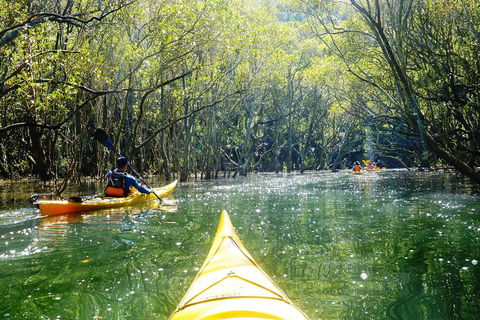 Self-Guided Sydney Middle Harbour Kayak 3 Hour Tour By Double Kayak - Hotel Gold Coast 3