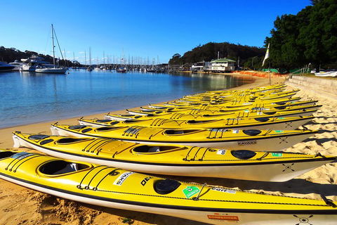 Self-Guided Sydney Middle Harbour Kayak 3 Hour Tour By Double Kayak - Hotel Gold Coast 4