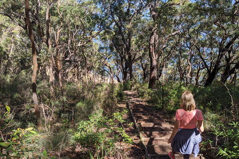 Central Coast Explorer With 'Personalised Sydney Tours' - Hotel Gold Coast 4
