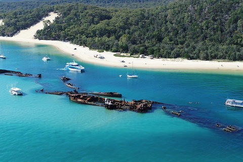 All Inclusive Dolphin And Tangalooma Wrecks Cruise - Hotel Gold Coast 4
