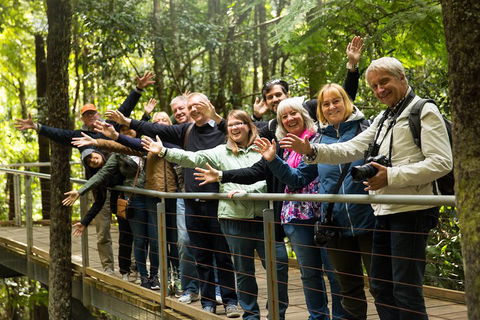 All Inclusive Blue Mountains Small-Group Day Trip From Sydney - Hotel Gold Coast 5