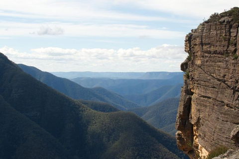 Inside The Greater Blue Mountains World Heritage - A Wildlife Safari Overnight - Hotel Gold Coast 4