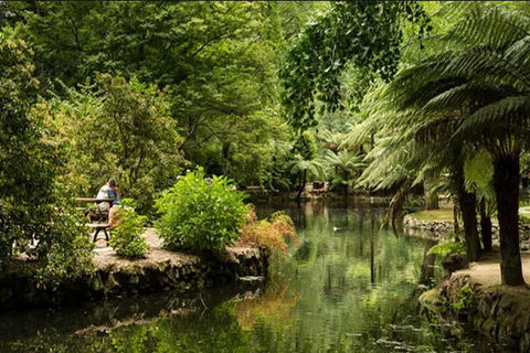 Discover Tour: Dandenong Ranges & William Ricketts Sanctuary - Hotel Gold Coast 4