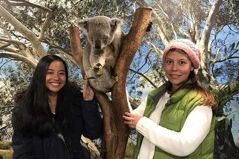 Australia Multi-City Attractions Pass - Hotel Gold Coast 3